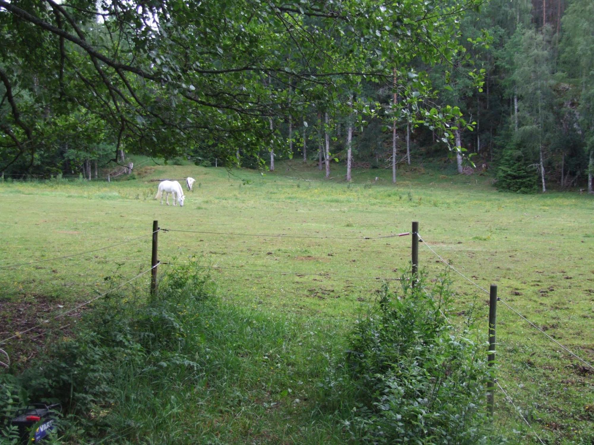 Foellingen Hotell Kisa Buitenkant foto